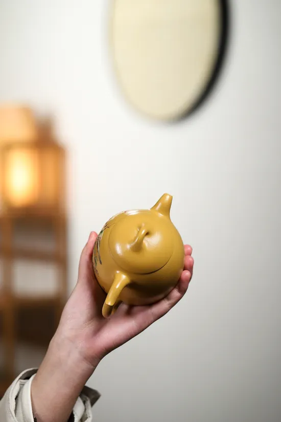 Handcrafted Yixing Clay Teapot | Artisan Zisha Teapot & Collection 6