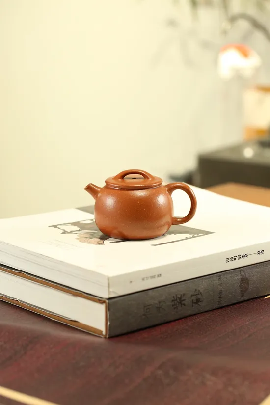 Premium Yixing Zisha Clay Teapot | Handcrafted Artisan Teapots 6