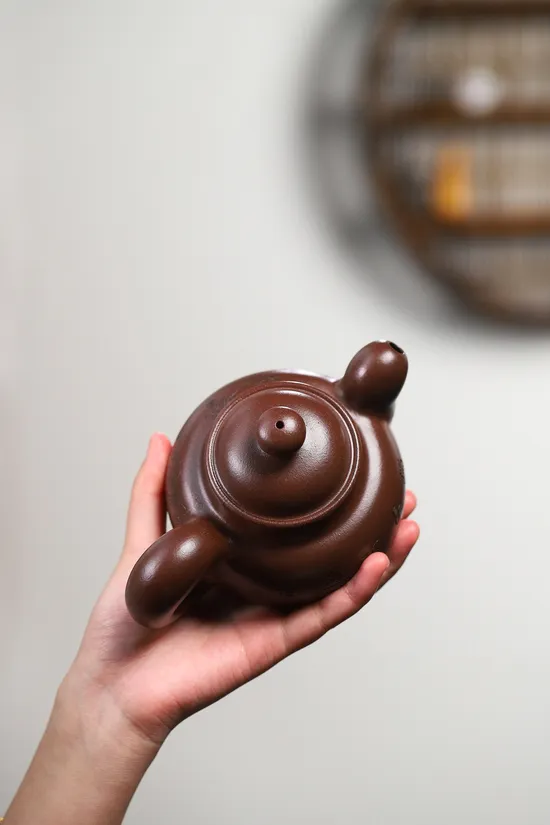 Yixing Zisha Teapot | Artisan Crafted Clay Teaware Collection 7