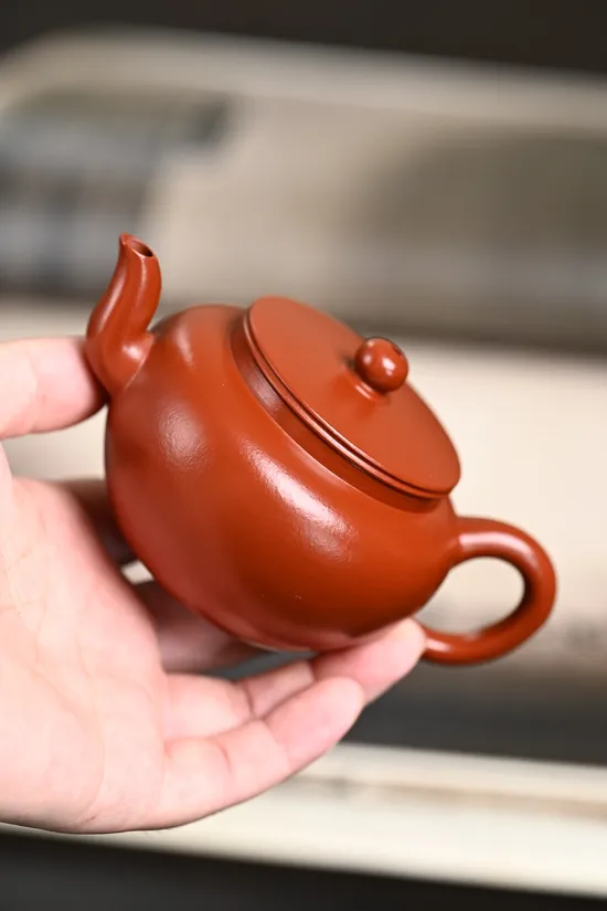 Premium Yixing Zisha Teapot | Flat Lid Lotus Design | 10cc 3
