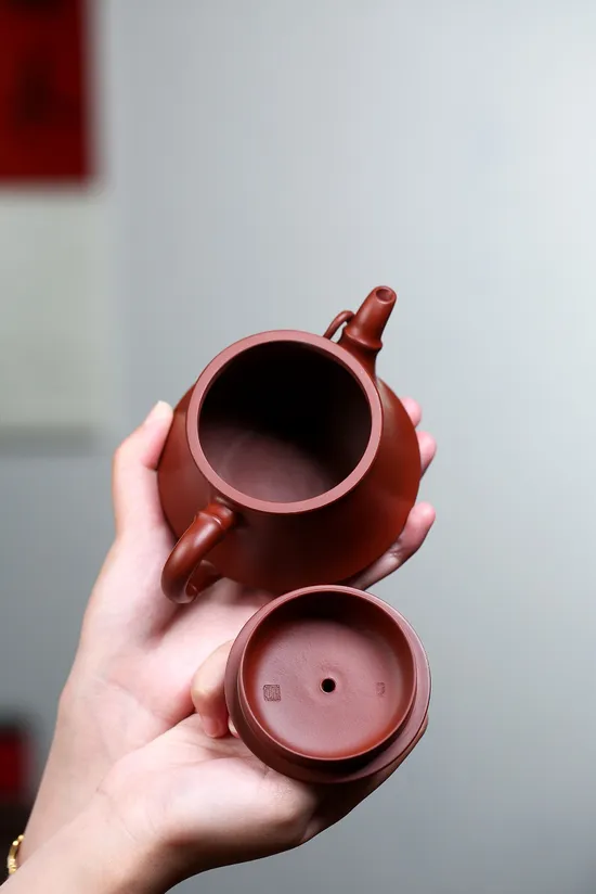 Yixing Zisha Teapot | Masterpiece Clay Art | Handcrafted 6