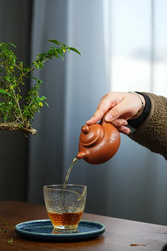 Zisha Teapots: Dao Hong Dui Zhi | aged duanní clay 5