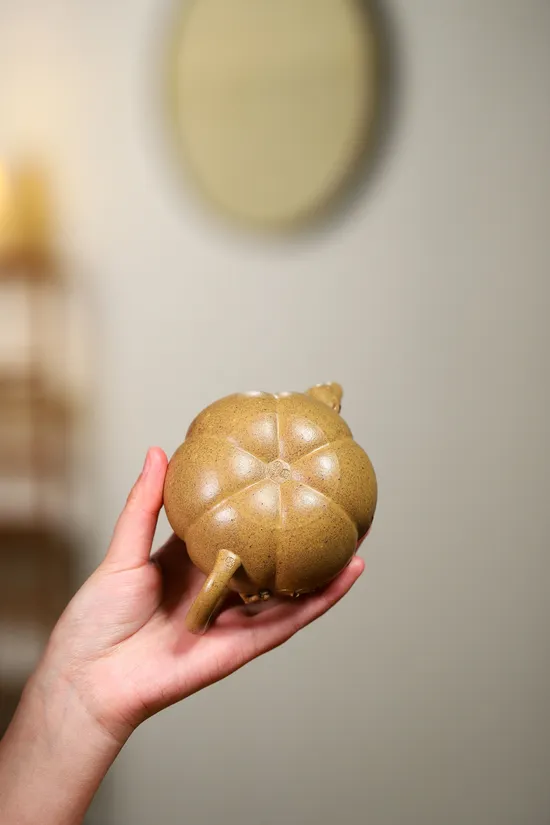 Zisha Teapots: Pumpkin-shaped | Yang Junbao | 2400 CNY 6