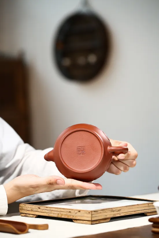 Yixing Zisha Teapot | Artisan Clay Teapots | Dragon Blood Clay Design 7