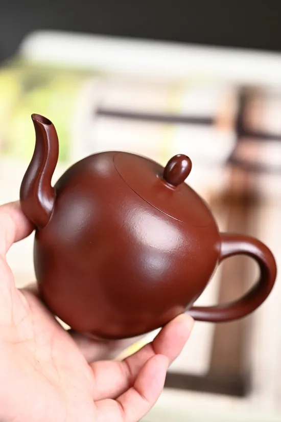 Premium Yixing Clay Teapot | Artisan Crafted | 20cc Capacity 8