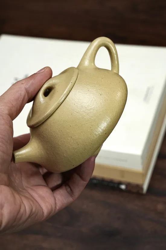 Zisha Teapots: Ben Shan Lüni clay | 220cc capacity | 2400 CNY 2