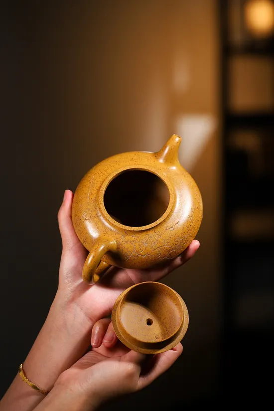 Premium Yixing Zisha Teapot – Artisan Crafted Clay Teapots 3