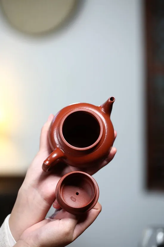 Premium Yixing Clay Teapot | Artisan Crafted Zisha Teapot Collection 4