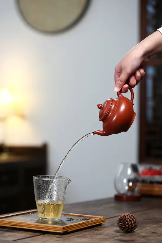 Premium Yixing Clay Teapot | Artisan Crafted Zisha Teapot Collection 9