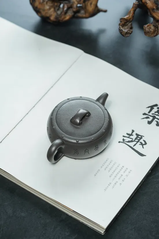 Premium Yixing Teapot | Handcrafted Zisha Clay Pot | 20cc 1