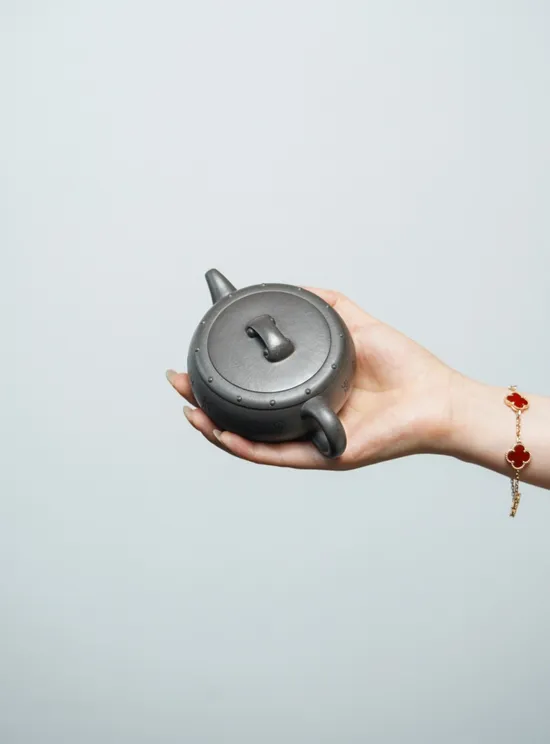 Premium Yixing Teapot | Handcrafted Zisha Clay Pot | 20cc 5
