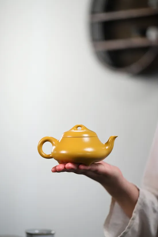 Yixing Clay Teapot | Handcrafted Golden Vermilion Clay by Yang Junbao 3