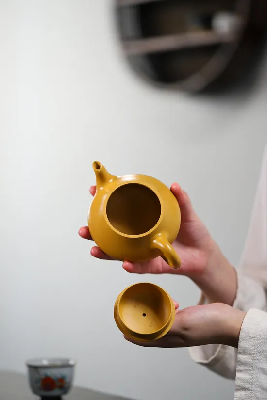 Yixing Clay Teapot | Handcrafted Golden Vermilion Clay by Yang Junbao 4