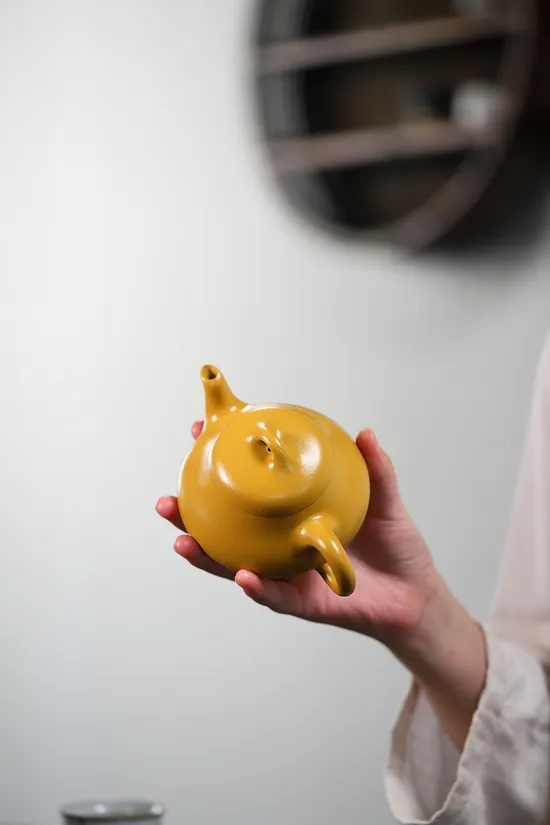 Yixing Clay Teapot | Handcrafted Golden Vermilion Clay by Yang Junbao 5