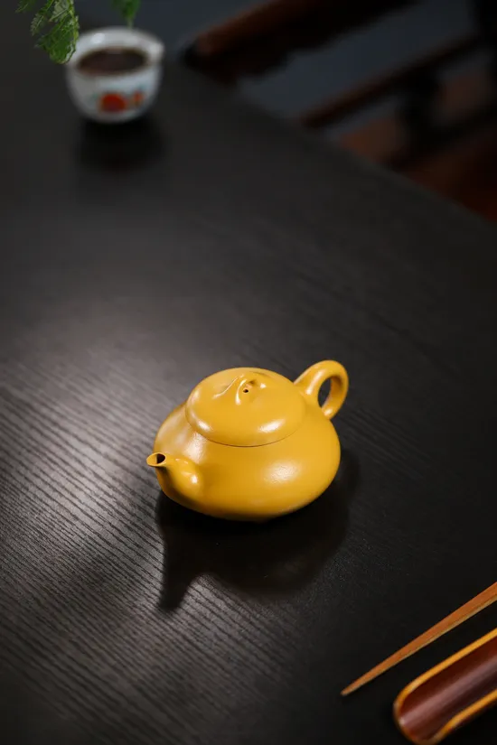 Yixing Clay Teapot | Handcrafted Golden Vermilion Clay by Yang Junbao 8