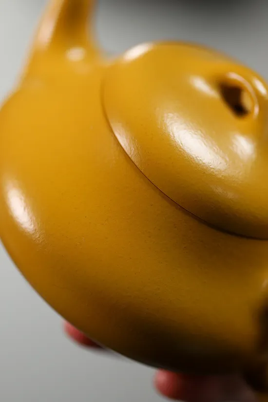 Yixing Clay Teapot | Handcrafted Golden Vermilion Clay by Yang Junbao 9