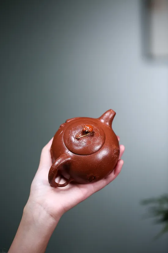Authentic Yixing Zisha Teapot - Masterpiece by National Craft Artist 9