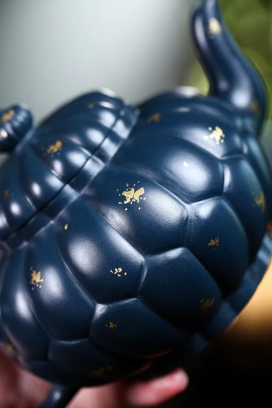 Yixing Zisha Teapot | Master-Crafted Clay Artisan Pottery | Free Shipping 4