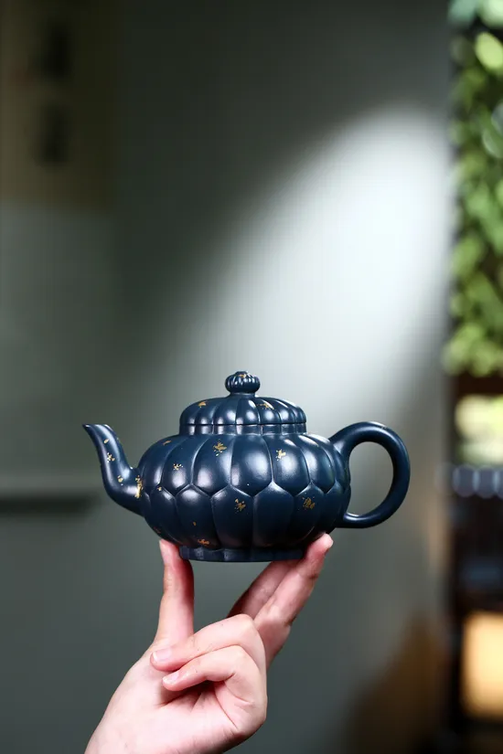 Yixing Zisha Teapot | Master-Crafted Clay Artisan Pottery | Free Shipping 6
