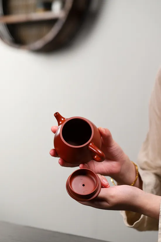 Premium Yixing Clay Teapot | Artisan Crafted Zisha Teapot 2