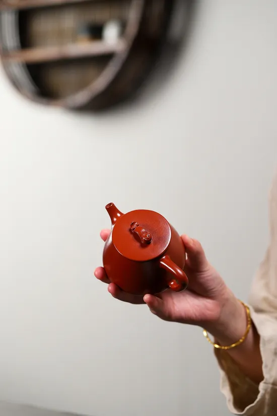 Premium Yixing Clay Teapot | Artisan Crafted Zisha Teapot 4