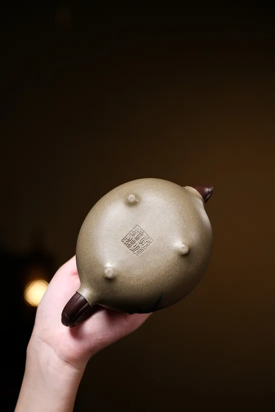 Handmade Yixing Zisha Teapot - Premium Clay Artisan Craft 3