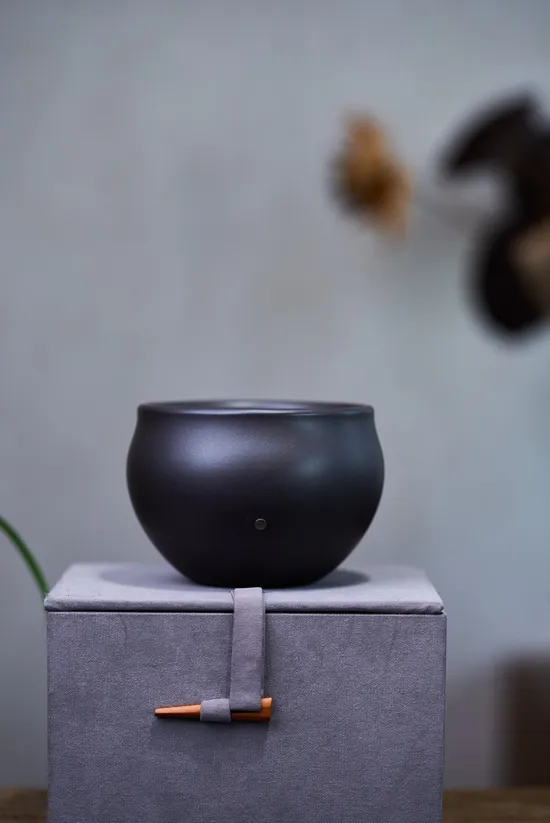 Premium Yixing Clay Teapot | Handcrafted Artisan Teapot | 750CNY 4