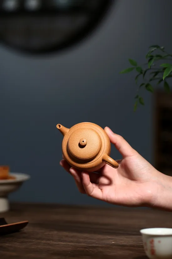 Premium Yixing Teapot | Handcrafted Zisha Clay Teapot for Tea Lovers 2