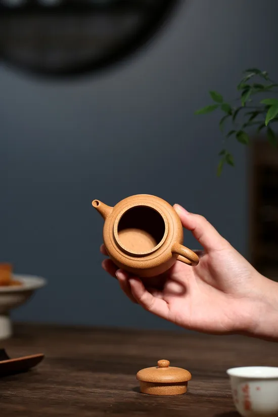 Premium Yixing Teapot | Handcrafted Zisha Clay Teapot for Tea Lovers 3