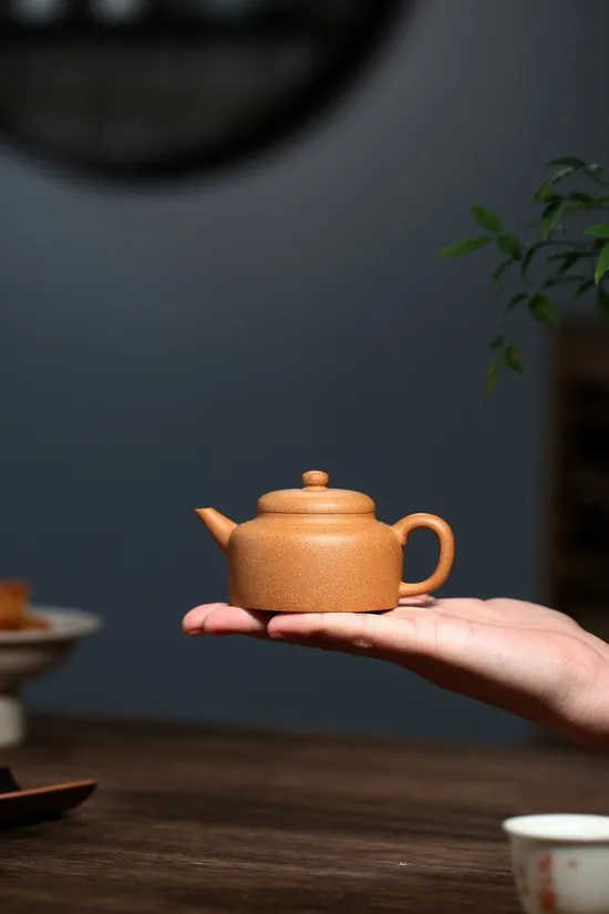 Premium Yixing Teapot | Handcrafted Zisha Clay Teapot for Tea Lovers 6