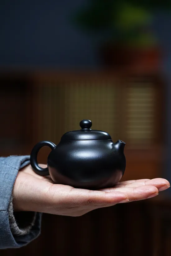 Premium Yixing Zisha Teapot - Handcrafted Artisan Clay Pottery 5