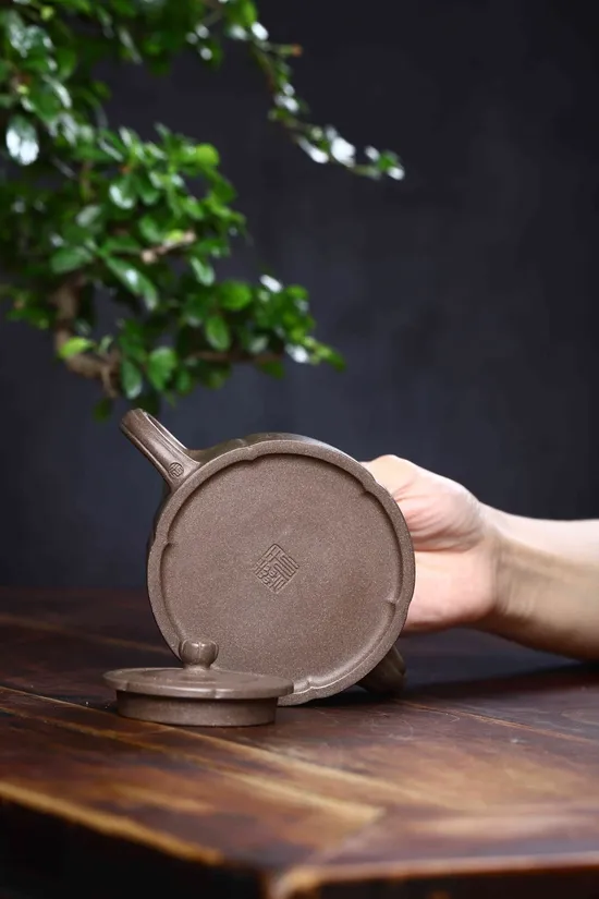 Premium Yixing Zisha Teapot | Handcrafted Artisan Ceramics 6