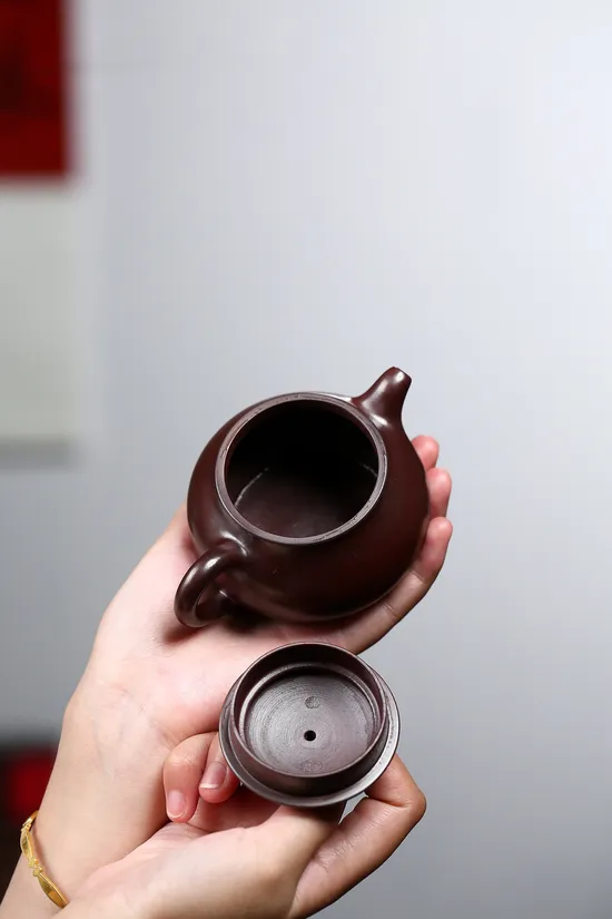 Golden Dragon Blood Clay Yixing Teapot | Handcrafted Zisha Art 4