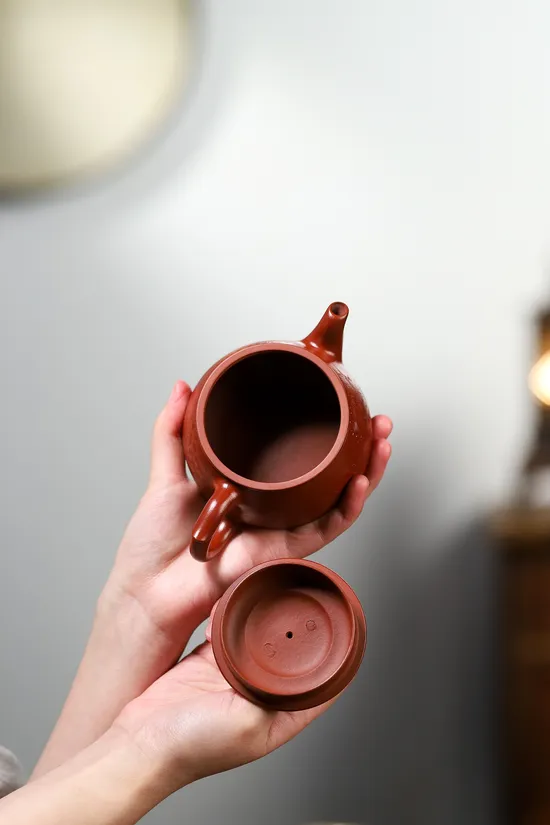 Yixing Zisha Teapot | Artisan Clay Teapot | Classic Design 6