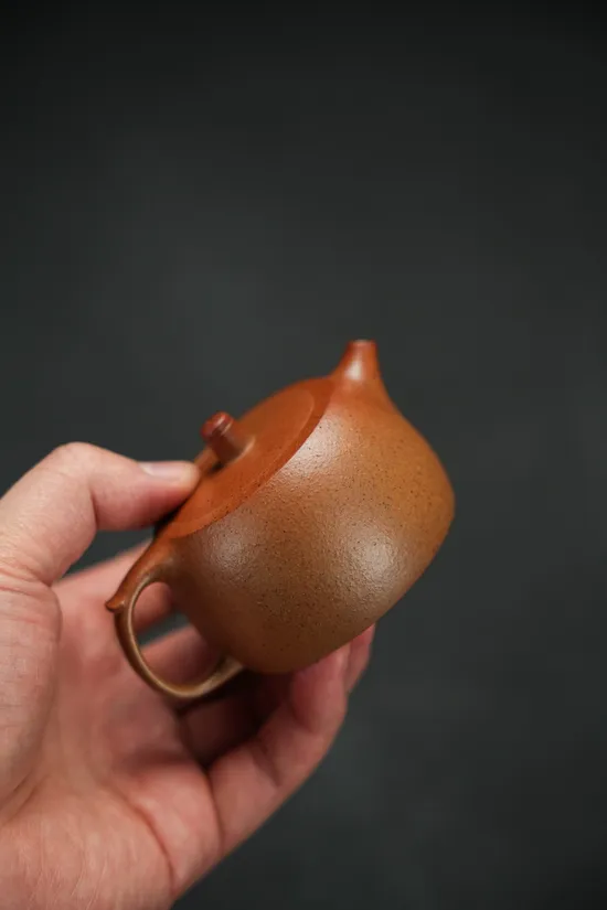 Premium Yixing Clay Teapot | Golden Clay & Classic Design 6
