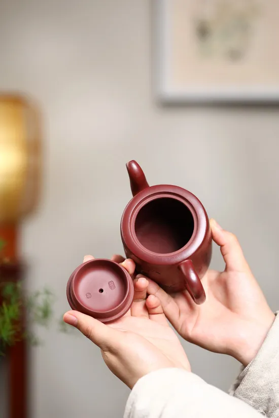 Premium Yixing Zisha Teapot Collection | Artisan Crafted 5