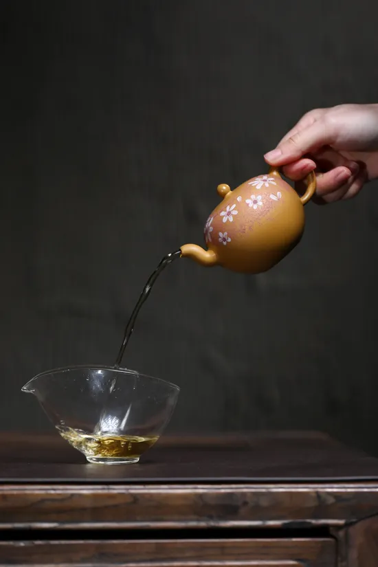 Yixing Zisha Teapot | Premium Handcrafted Clay Artisan Pottery 3