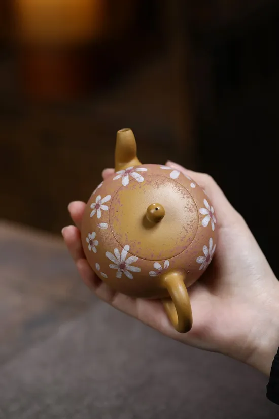 Yixing Zisha Teapot | Premium Handcrafted Clay Artisan Pottery 7