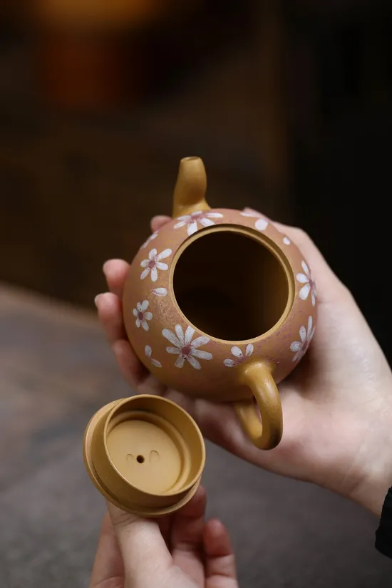 Yixing Zisha Teapot | Premium Handcrafted Clay Artisan Pottery 9
