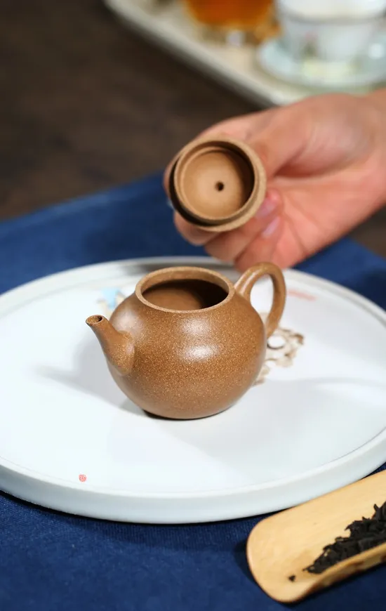 Premium Yixing Zisha Teapot – Handcrafted Clay Artisan Pottery 4