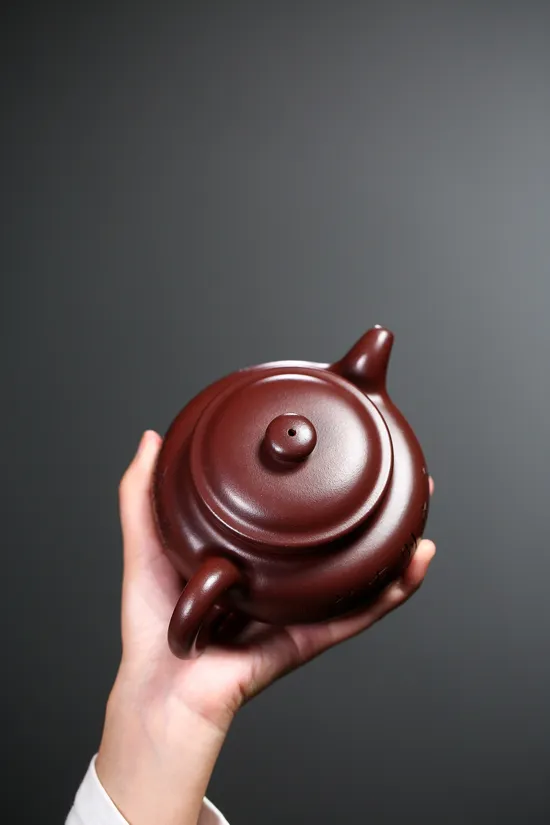 Collectible Yixing Clay Teapot | Handcrafted Artisan Pottery 6