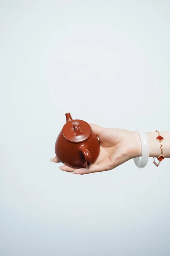 Premium Yixing Zisha Teapot: Handcrafted Clay, Classic Design | 240cc 4