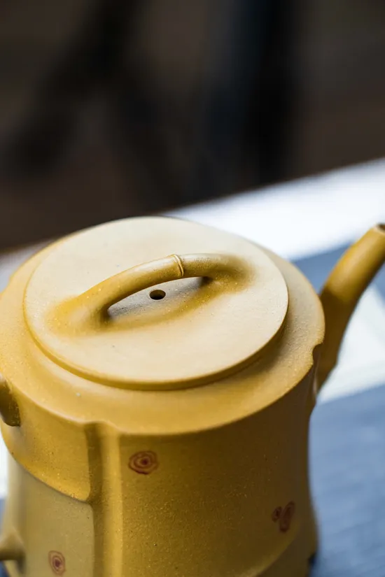 Yixing Zisha Teapot - Artisan Zhou Yun's Bamboo Design Collection 8