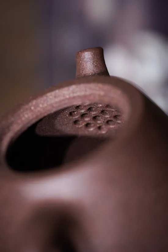 Premium Yixing Zisha Teapot | Handcrafted Ceramic Artisan Teapot 2