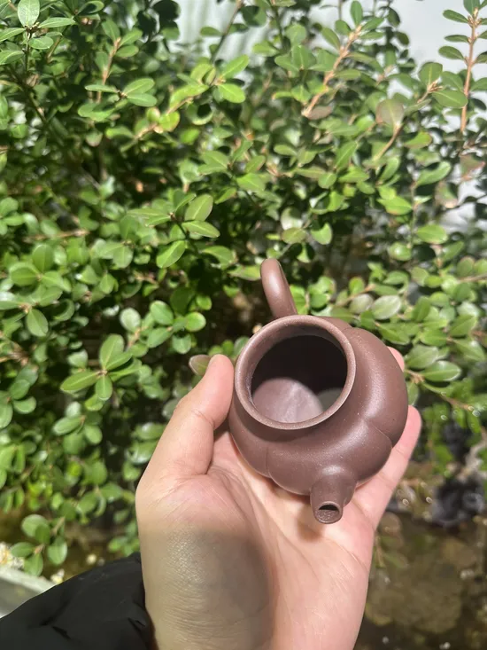 Premium Yixing Clay Teapots | Handcrafted Zisha Artistry 2