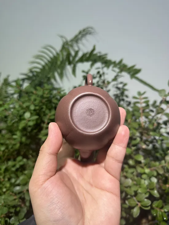 Premium Yixing Clay Teapots | Handcrafted Zisha Artistry 3