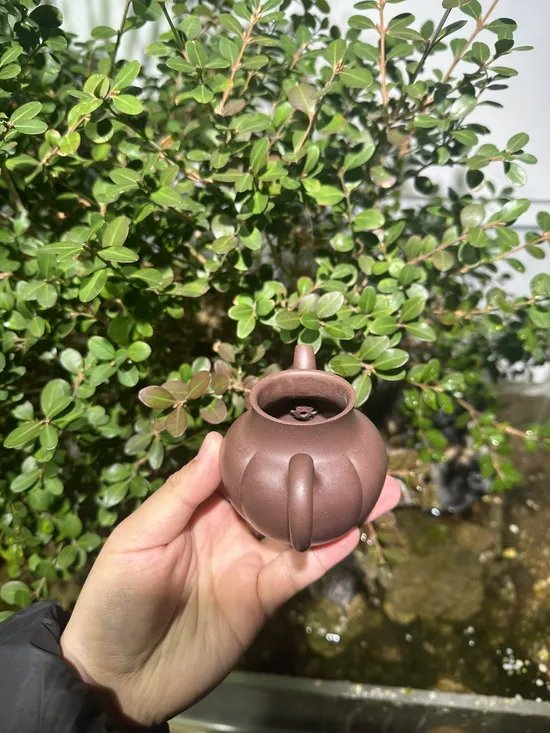 Premium Yixing Clay Teapots | Handcrafted Zisha Artistry 4
