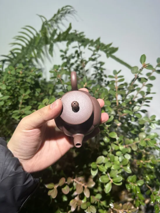 Premium Yixing Clay Teapots | Handcrafted Zisha Artistry 5