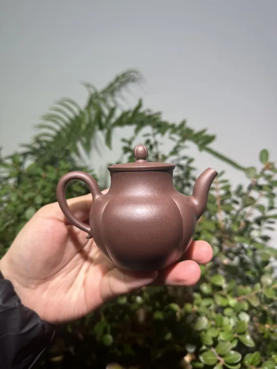 Premium Yixing Clay Teapots | Handcrafted Zisha Artistry 6