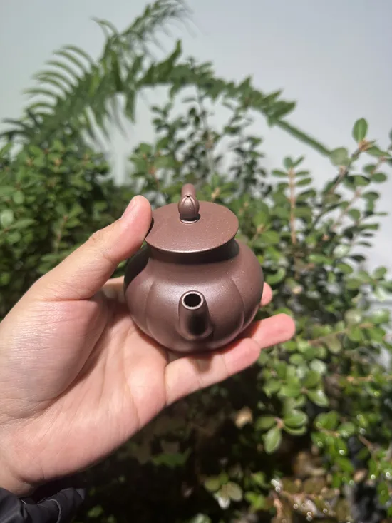 Premium Yixing Clay Teapots | Handcrafted Zisha Artistry 7